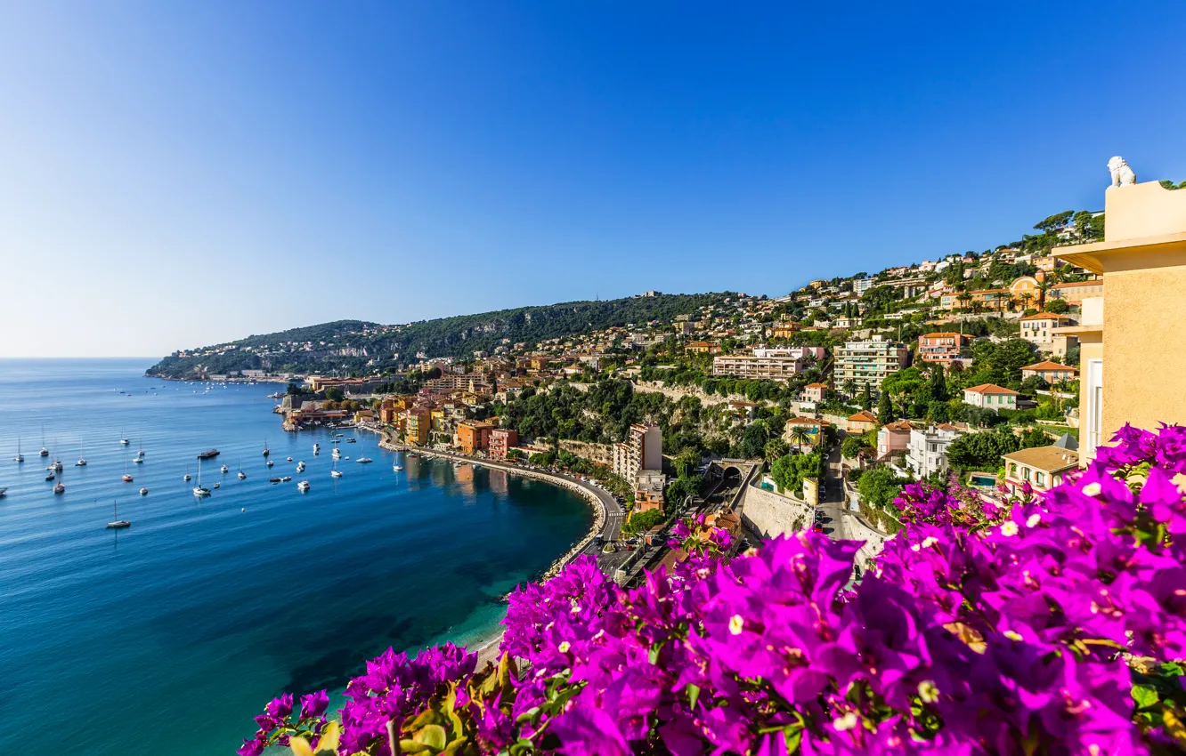 Фото обои море, цветы, город, побережье, Франция