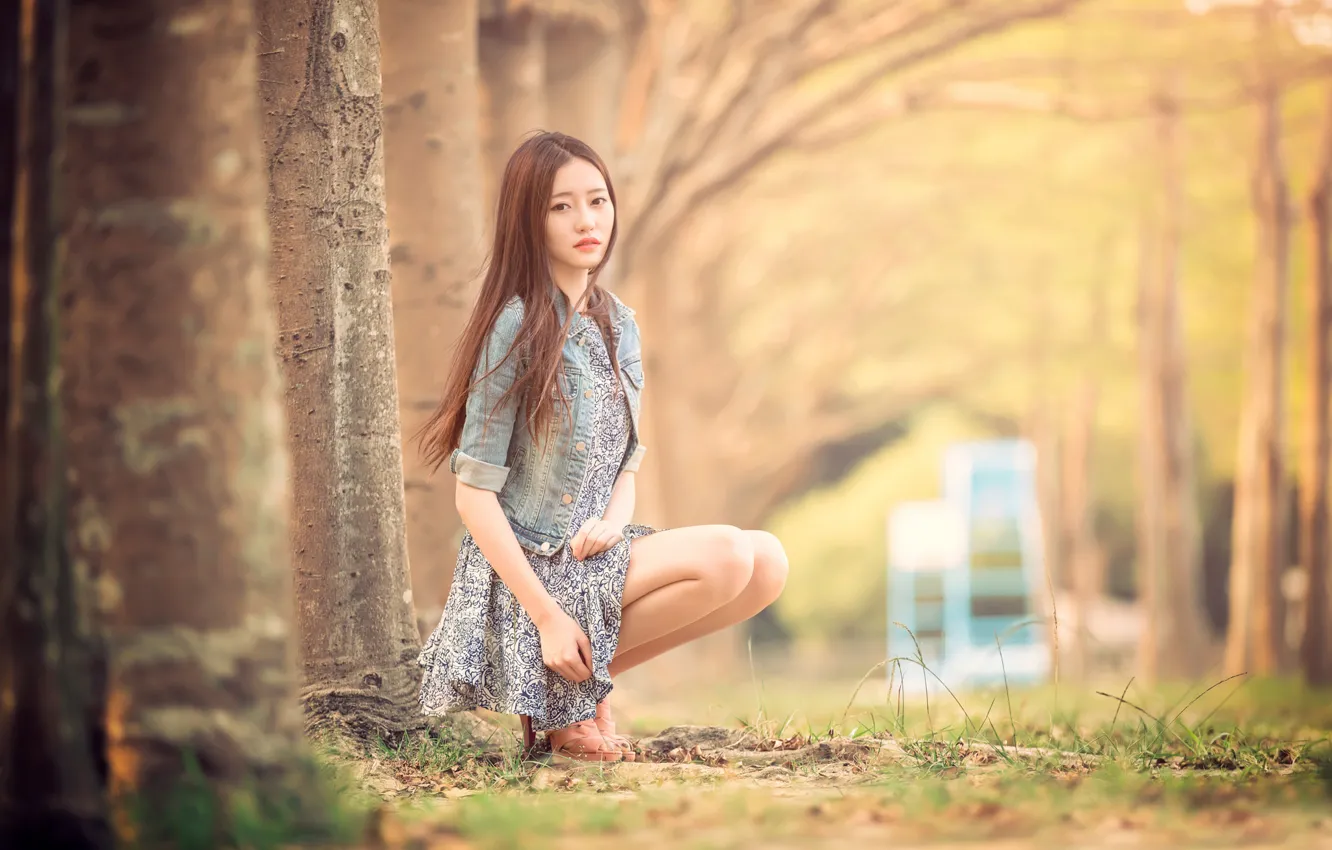 Фото обои ножки, боке, Taiwan, Ning, Fall Day