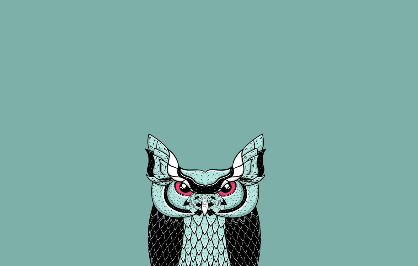 Фото обои сова, птица, минимализм, синий фон, owl