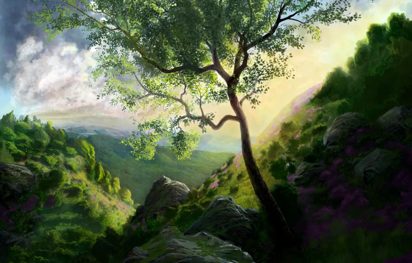 Фото обои зелень, трава, цветы, природа, камни, дерево, скалы, холмы