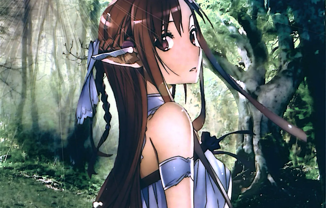 Фото обои лес, девушка, природа, магия, эльф, мечи, асуна, мастера меча