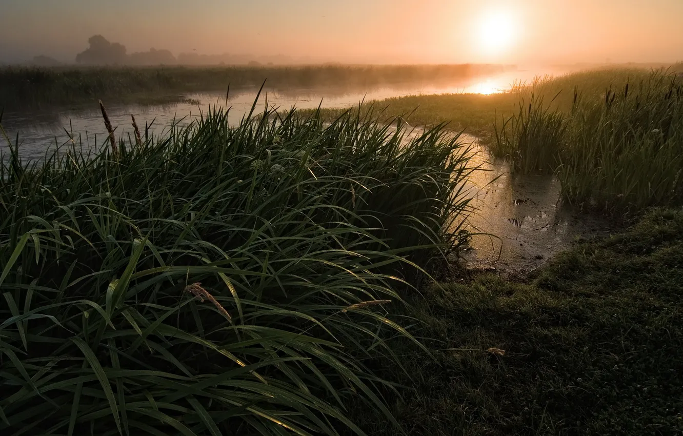 Фото обои трава, закат, река