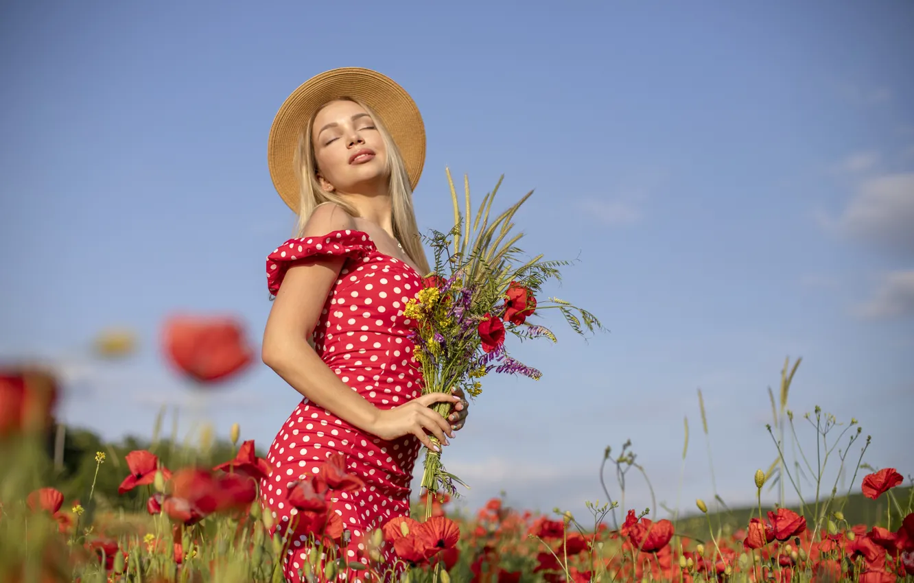 Фото обои поле, лето, девушка, цветы, природа, поза, маки, шляпа