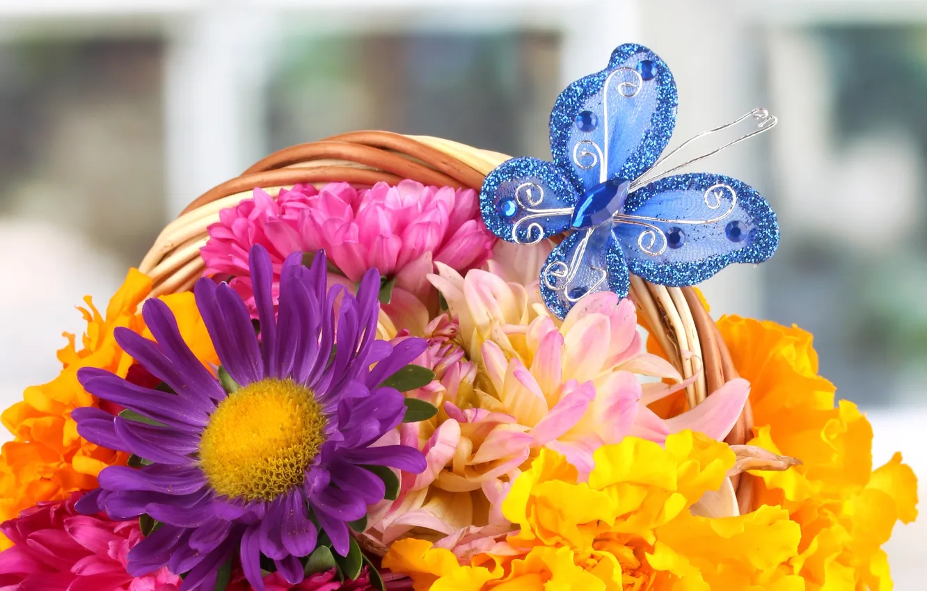 Фото обои цветы, бабочка, корзина, букет, лепестки