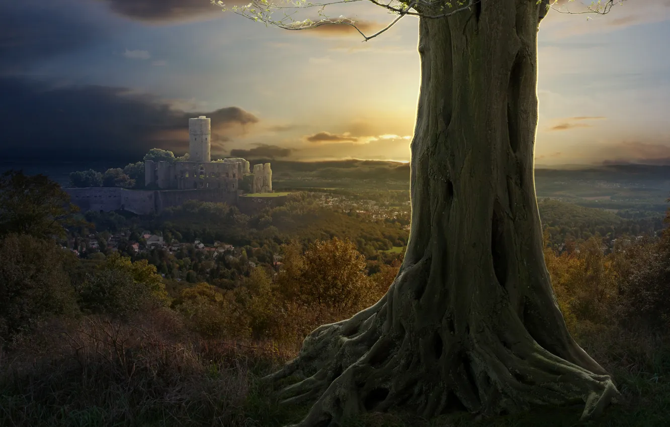 Фото обои природа, замок, дерево, коллаж, пригород