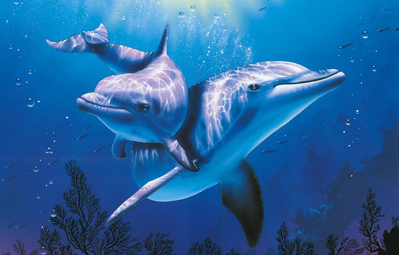 Фото обои море, дельфин, голубое, аквариум, красиво, Christian, Riese
