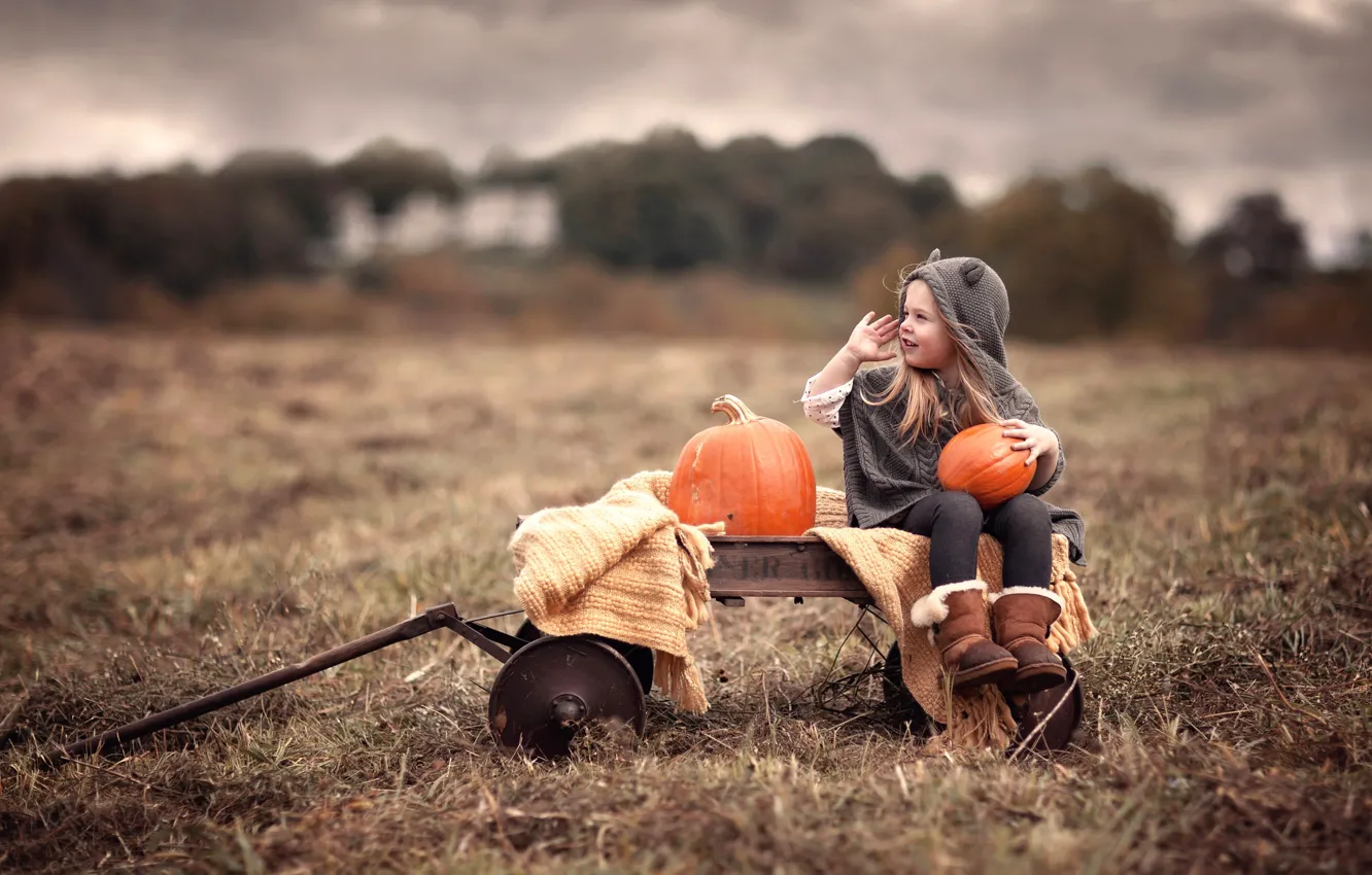 Фото обои поле, девочка, тыквы, тележка