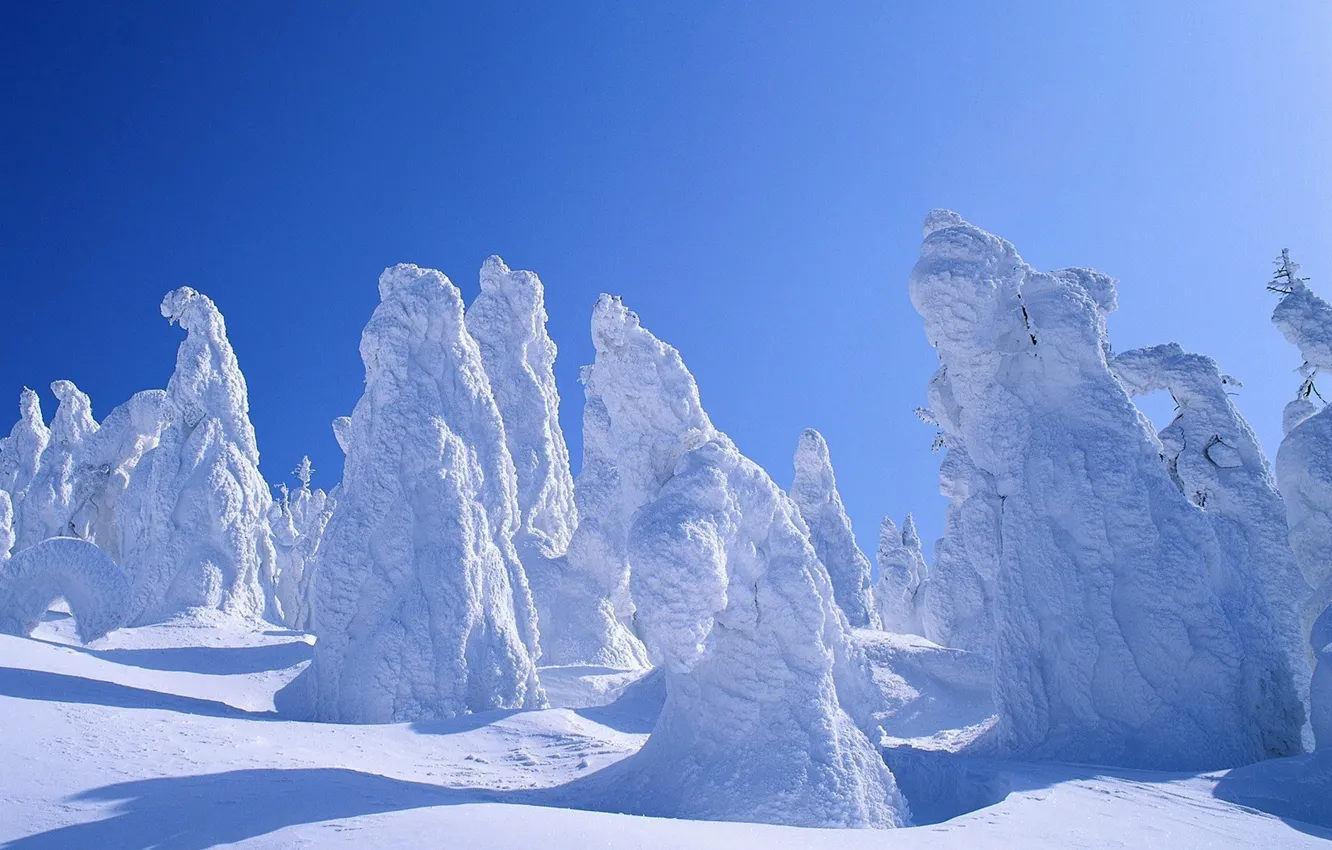 Фото обои зима, лес, небо, снег, деревья, мороз