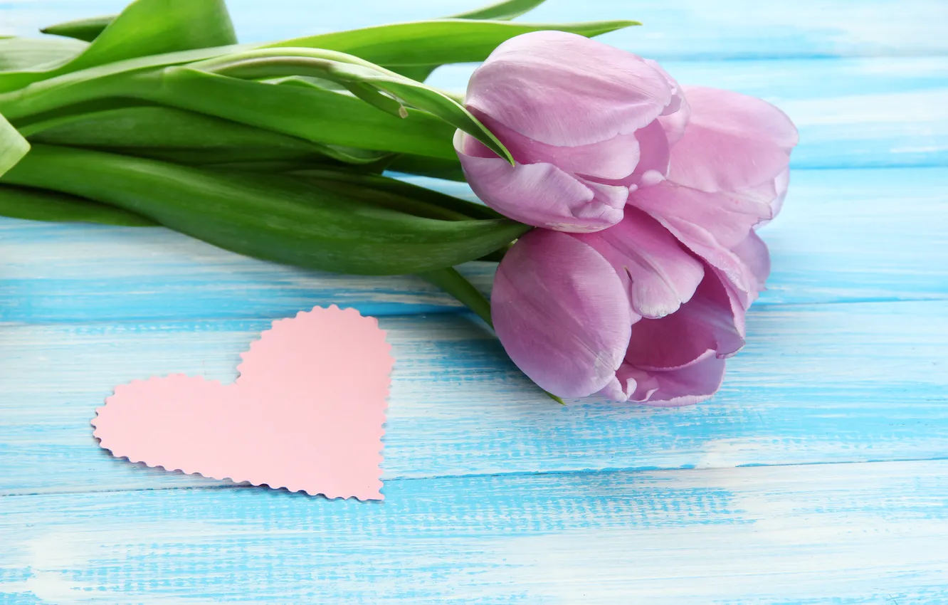 Фото обои цветы, букет, тюльпаны, wood, flowers, tulips, открытка, spring