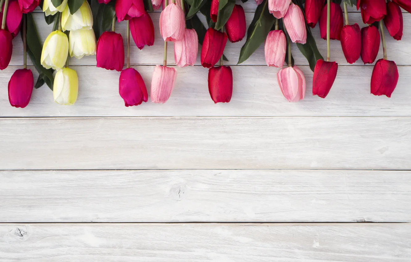 Фото обои colorful, тюльпаны, wood, композиция