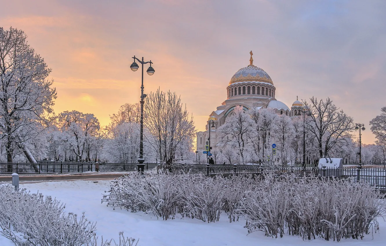 Фото обои зима, снег, деревья, пейзаж, город, утро, Питер, Санкт-Петербург