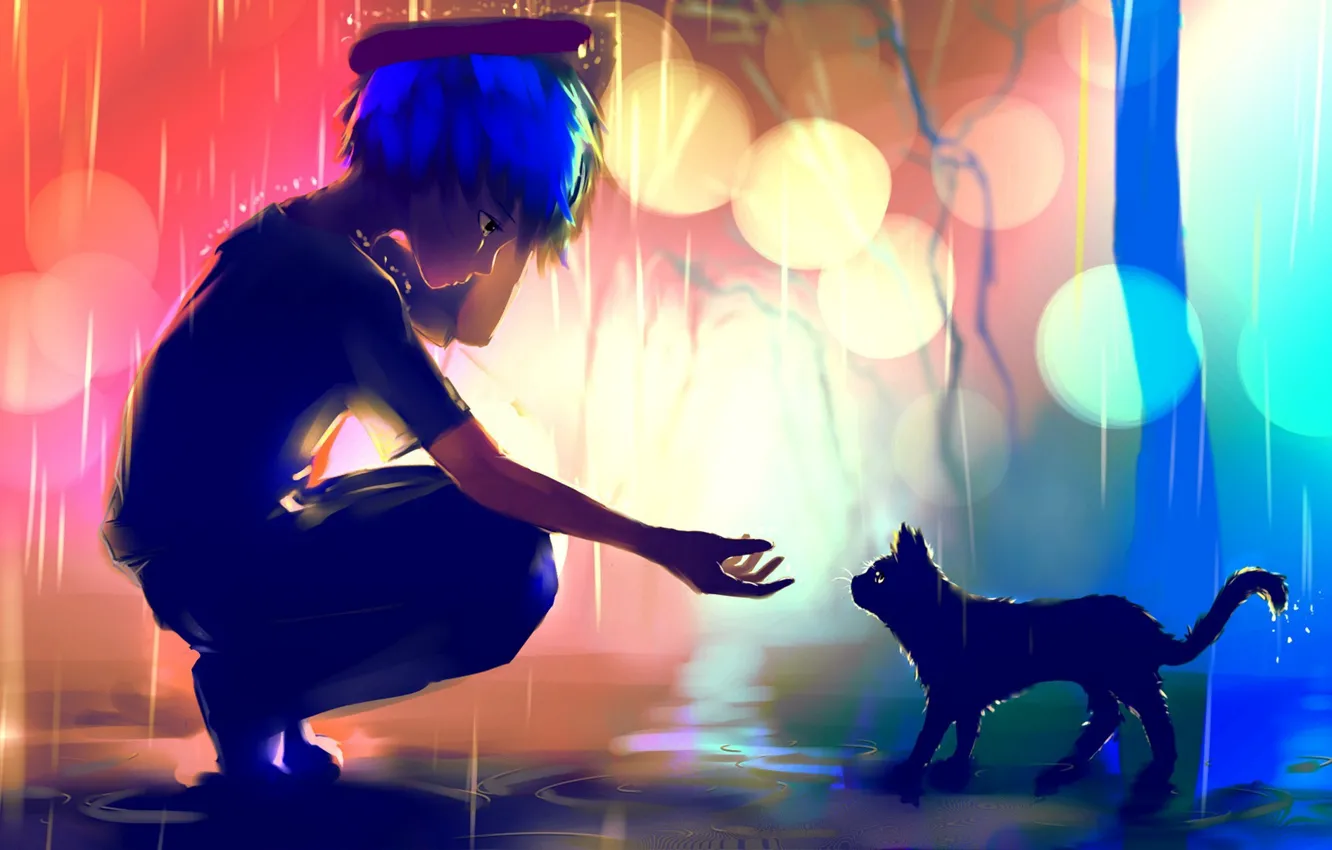 Фото обои кот, огни, дождь, рука, аниме, арт, лужи, парень