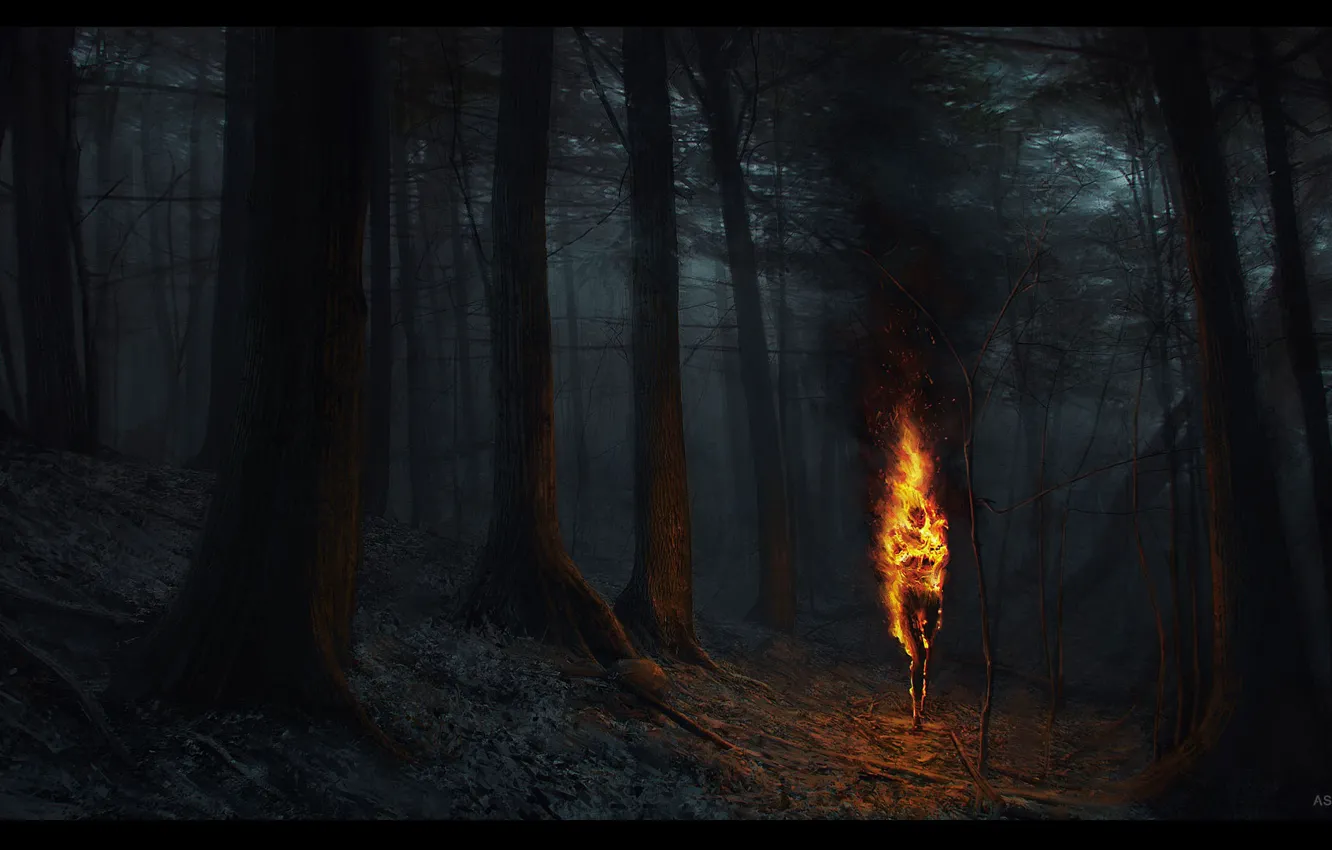 Фото обои torch, ashen falls, fire woods, nitgh