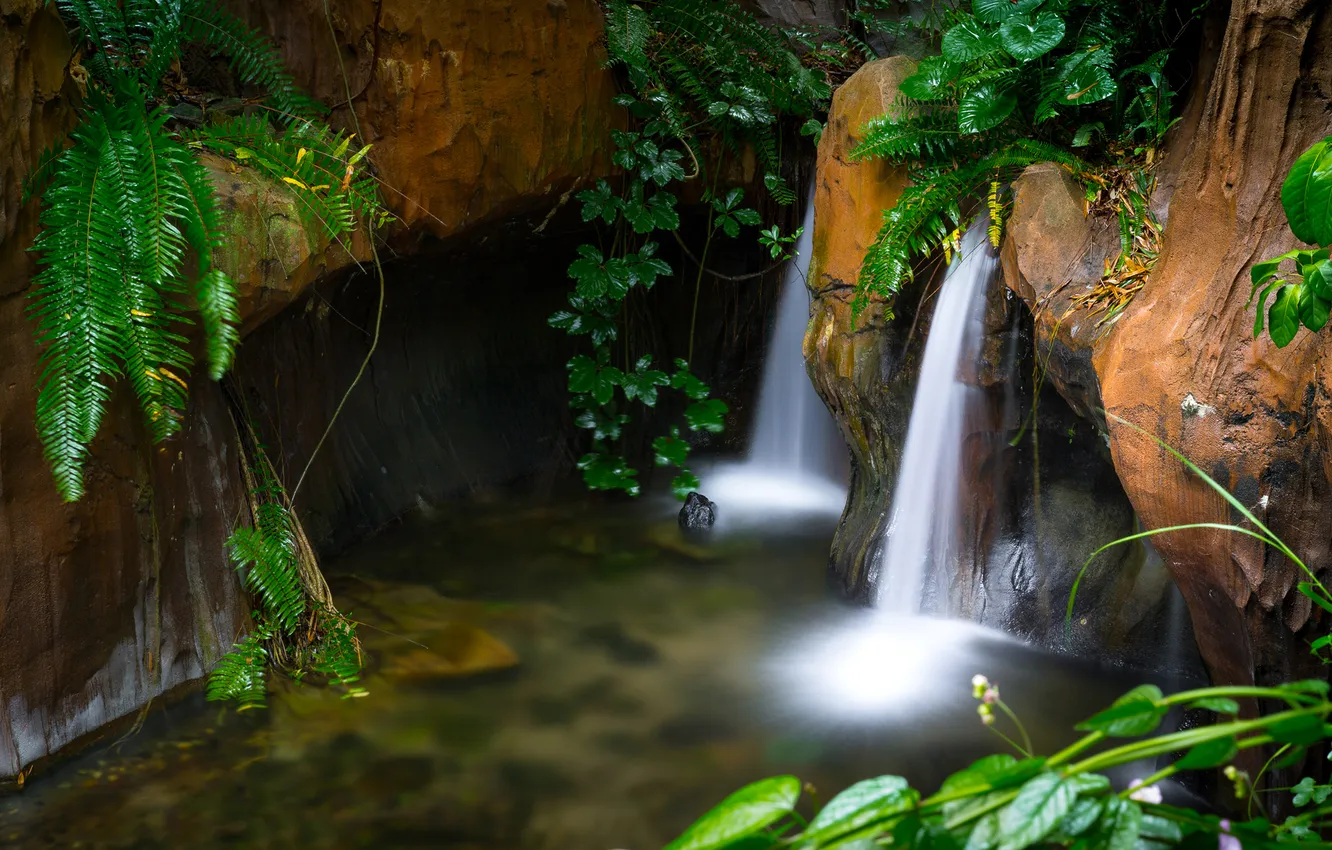 Фото обои листья, скалы, водопад, поток