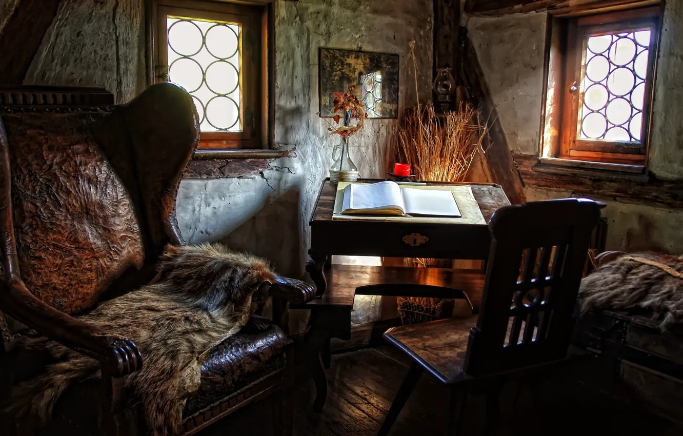 Фото обои дом, комната, окна, кресло, кожа, стул, шкура, книга