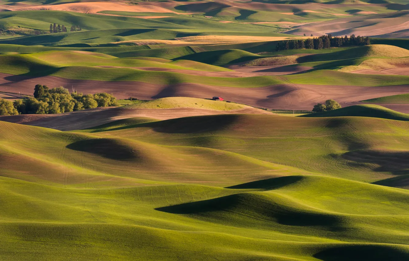 Фото обои свет, деревья, горы, зеленый, холмы, тень, домик, рельеф