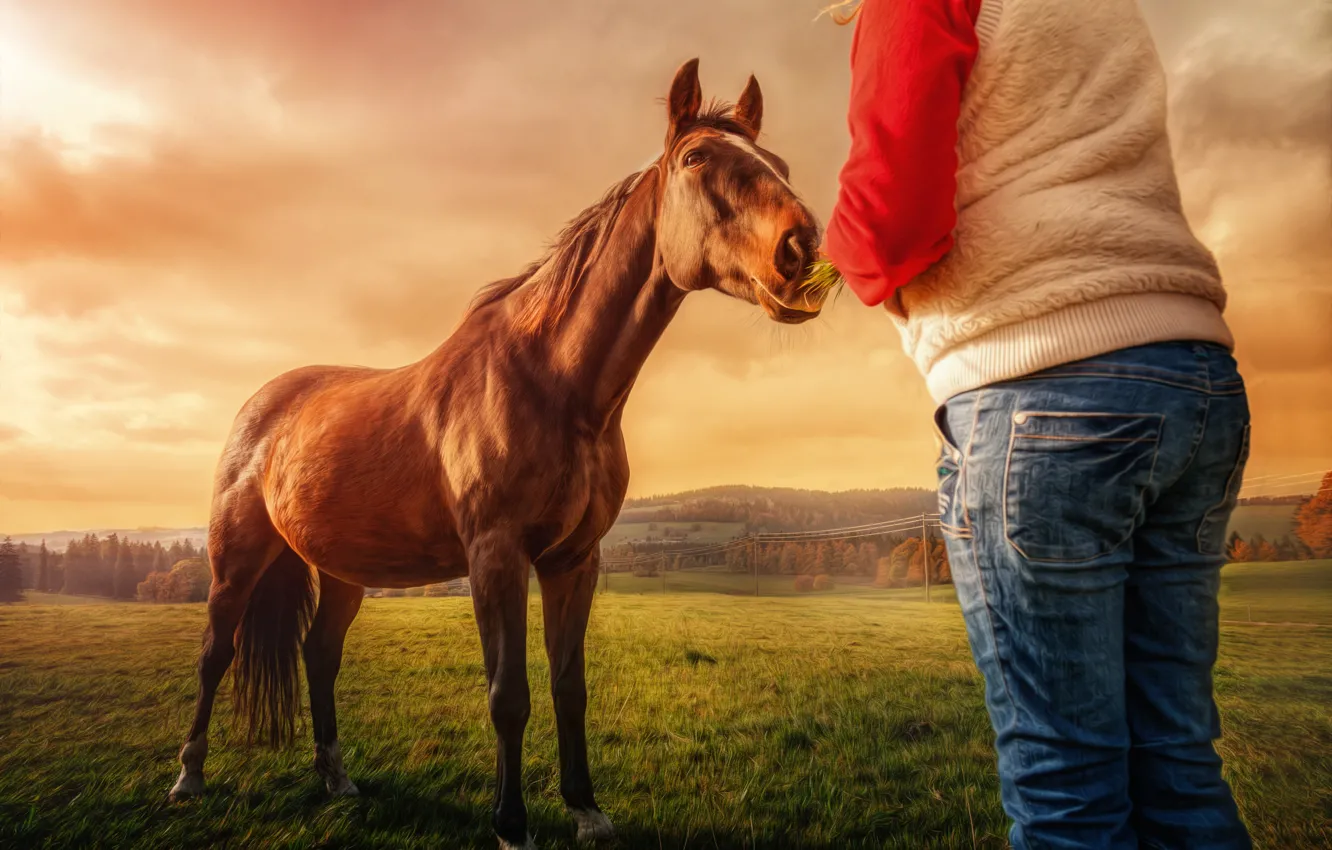 Фото обои девушка, пейзаж, лошадь, обработка