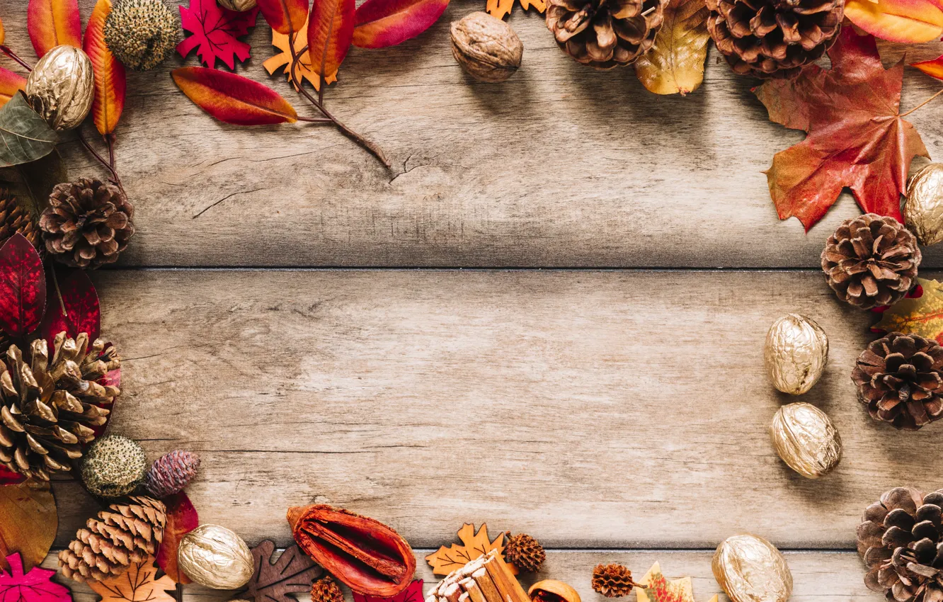 Фото обои осень, листья, фон, дерево, colorful, орехи, шишки, wood