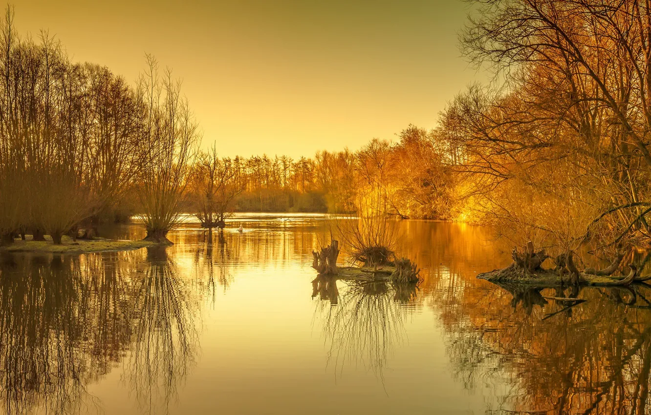 Фото обои осень, озеро, утро