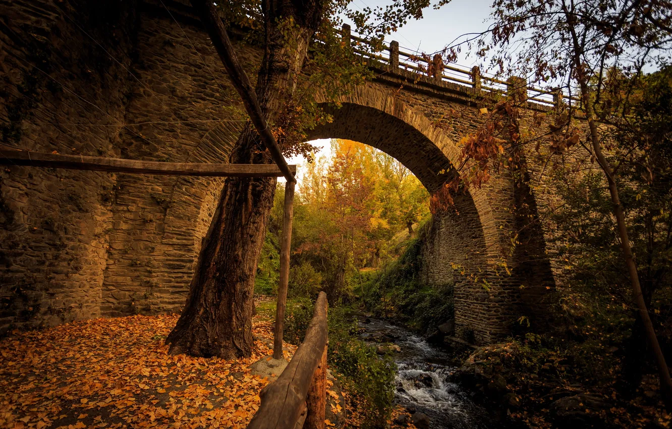Фото обои осень, мост, река