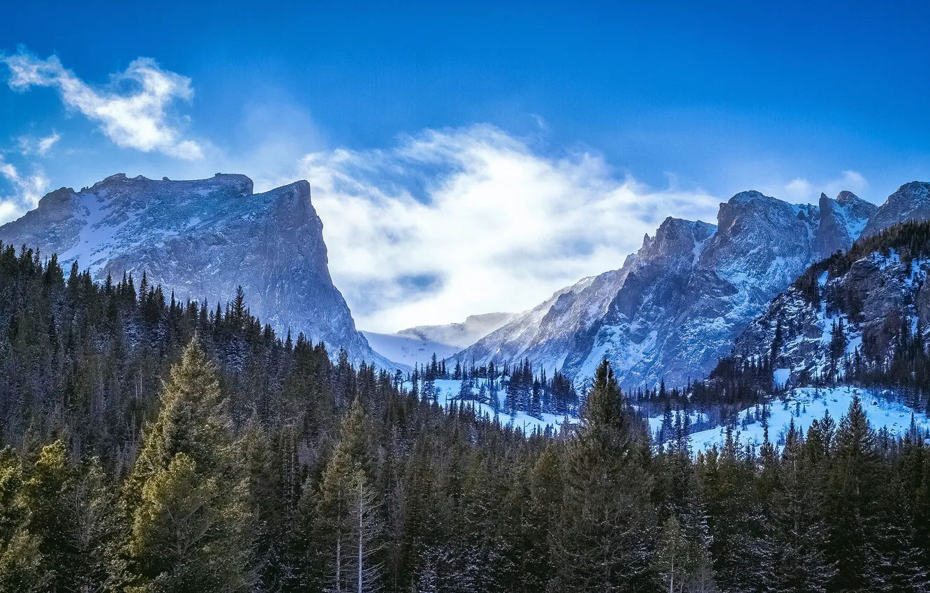 Фото обои зима, лес, горы, Rocky Mountain National Park