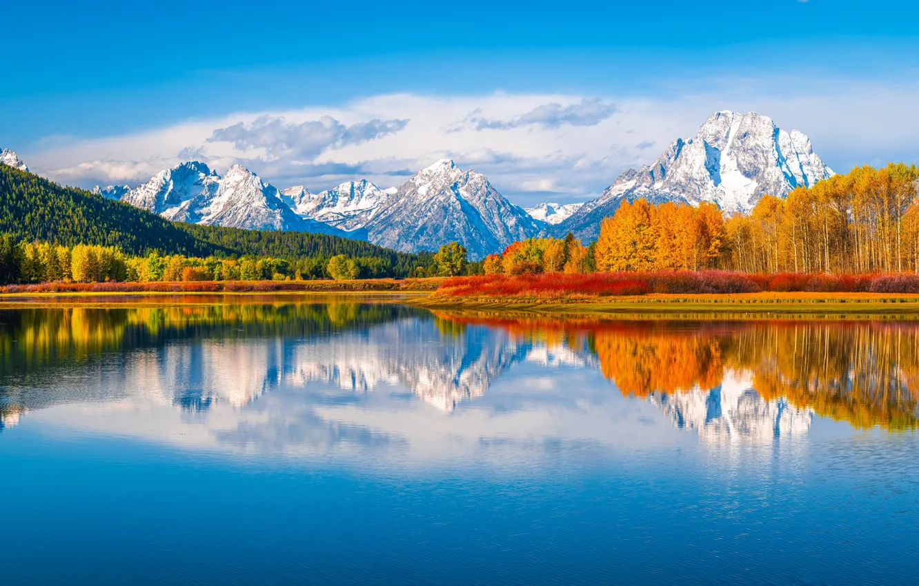 Фото обои осень, лес, деревья, горы, отражение, река, Вайоминг, панорама