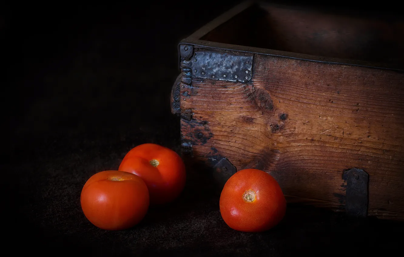 Фото обои помидоры, томаты, Tomates