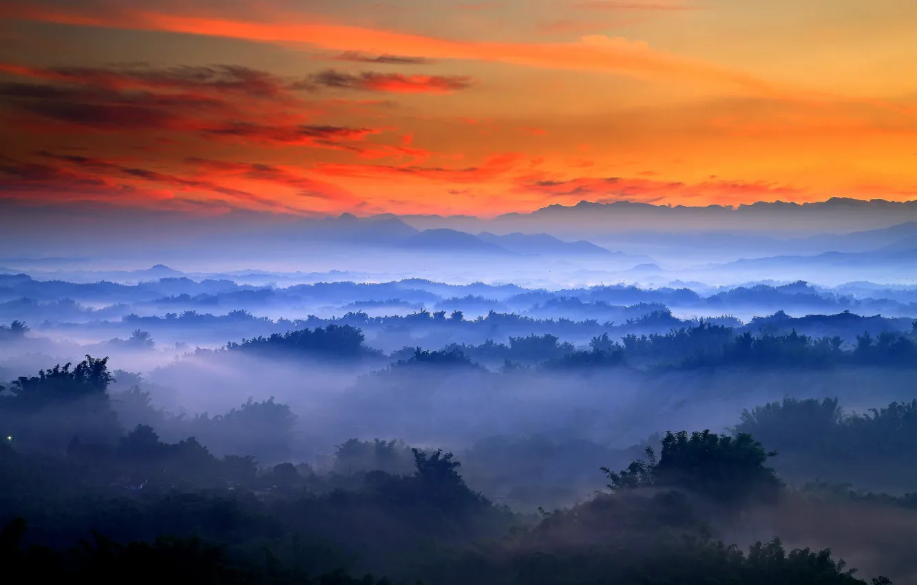 Фото обои morning, fog, sunrise, valley, mist