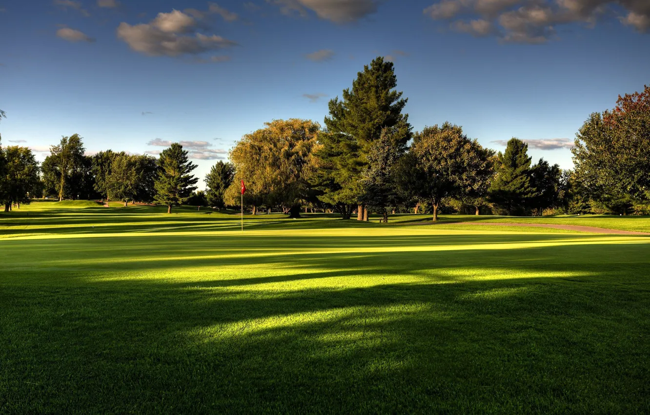 Фото обои поле, газон, гольф, флажок