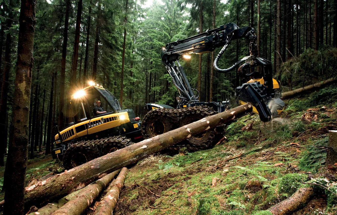 Фото обои лес, деревья, фары, опилки, колёса, брёвна, лесозаготовительная техника, Ponsse