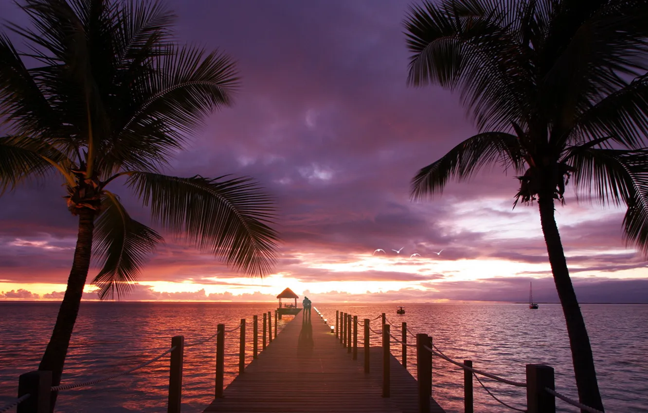 Фото обои море, любовь, закат, пальмы, океан