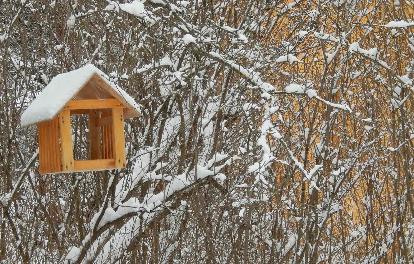 Фото обои зима, снег, фон, widescreen, обои, wallpaper, кусты, широкоформатные