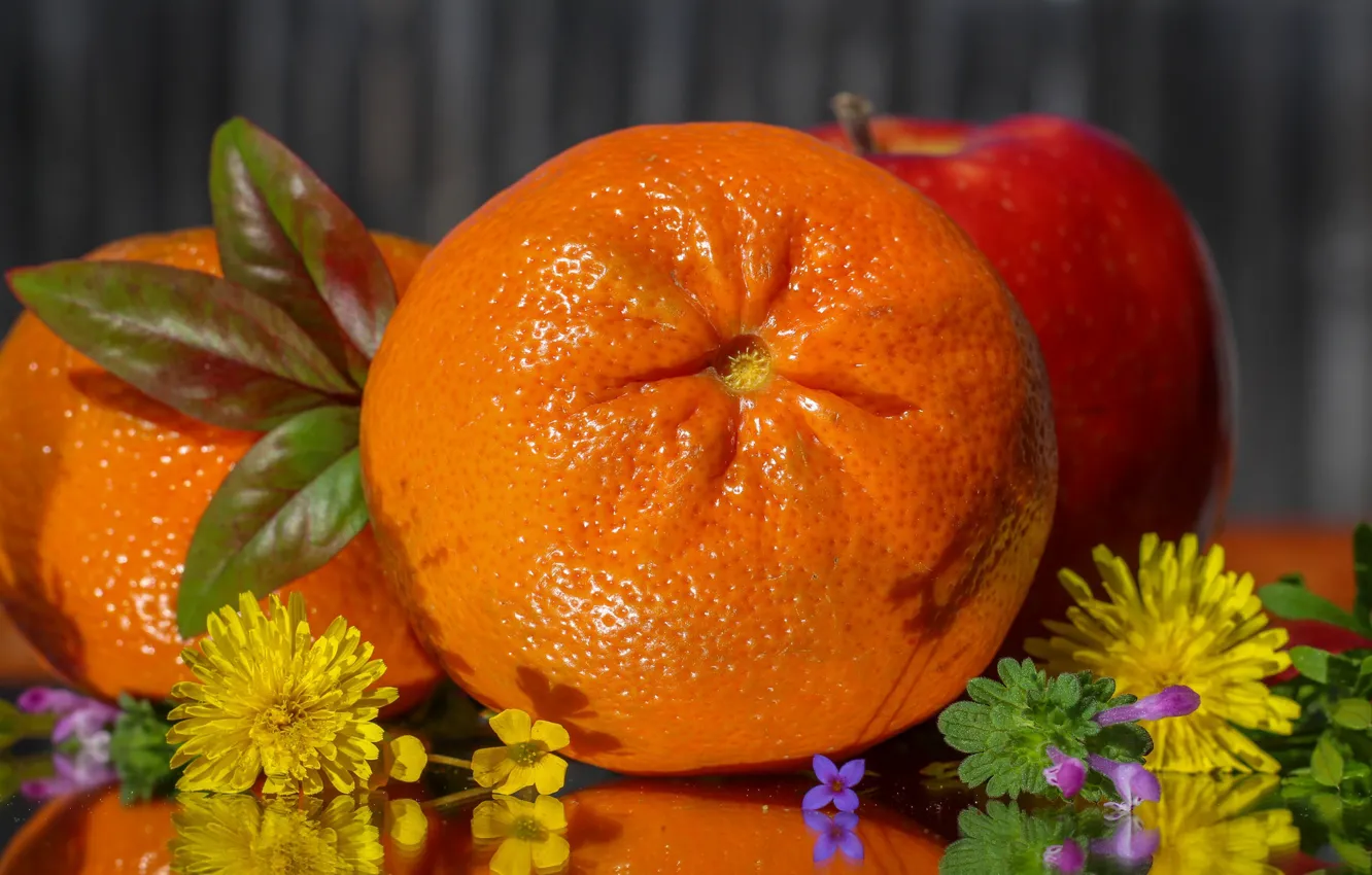 Фото обои цветы, апельсин, цитрус