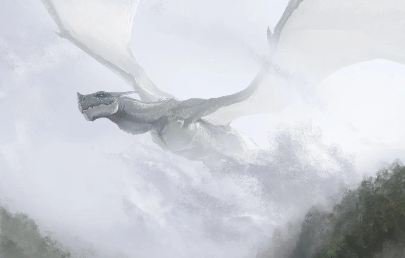 Фото обои полет, туман, холмы, дракон, арт