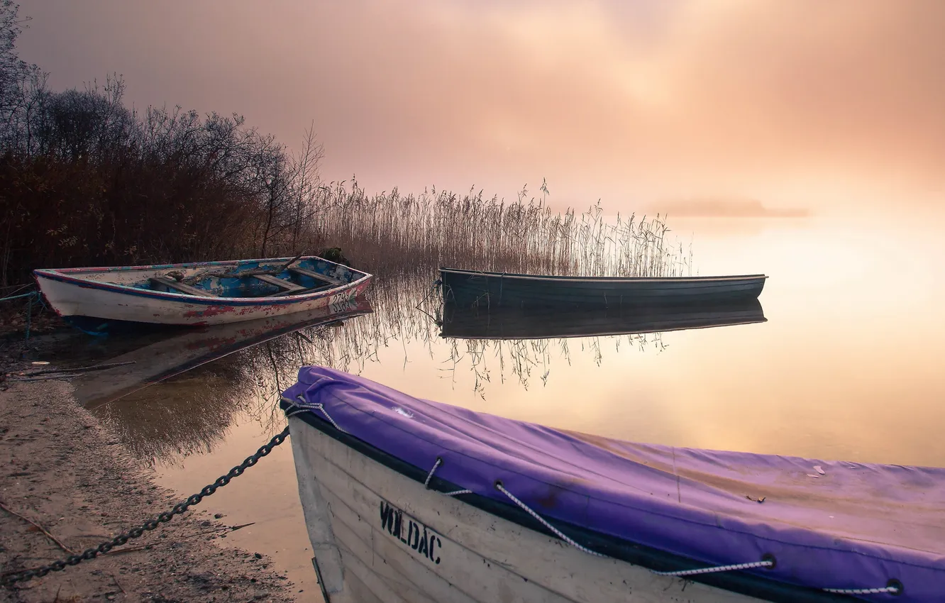 Фото обои пейзаж, туман, озеро, лодки