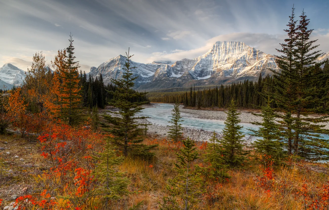 Фото обои осень, лес, горы, Канада, Альберта, Национальный парк Джаспер, Октябрь, река Атабаска