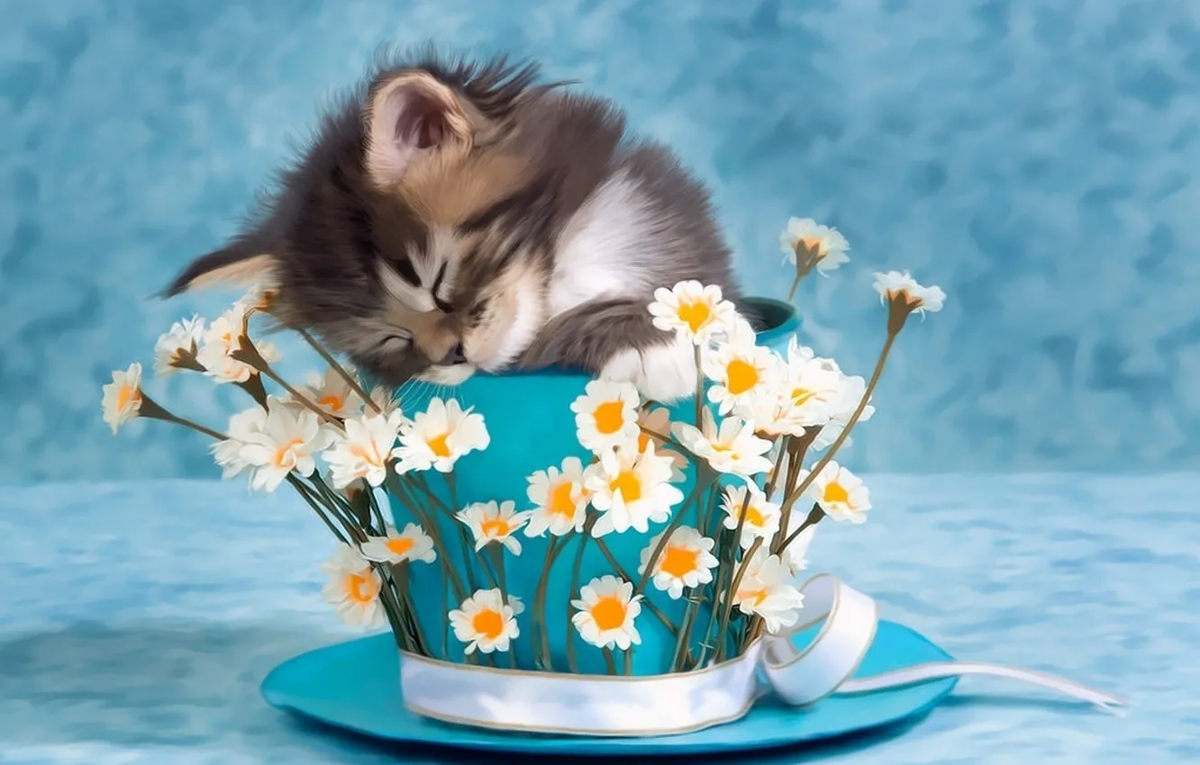 Фото обои цветы, котенок, фото, чашка