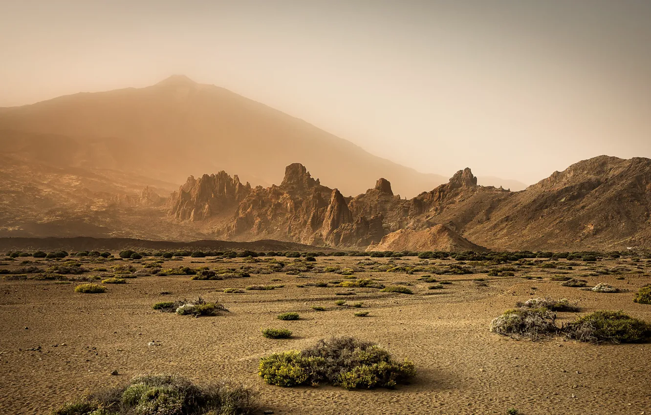 Фото обои горы, туман, пустыня