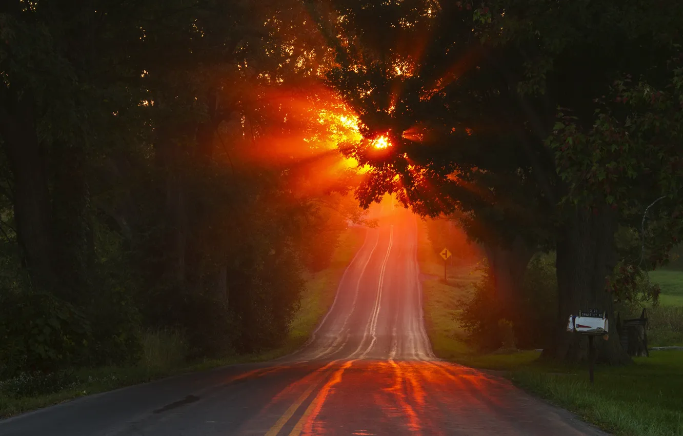 Фото обои дорога, осень, свет, утро