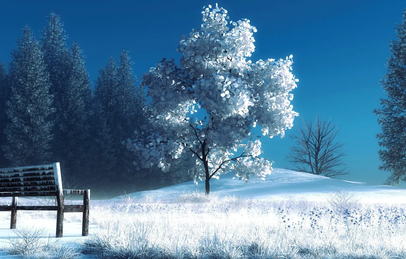 Фото обои зима, снег, деревья, скамейка, арт, лавочка