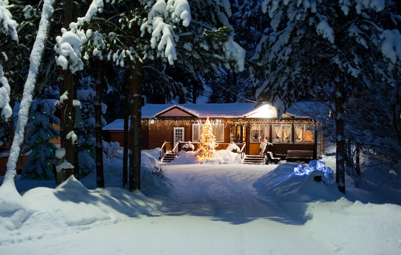Фото обои Зима, Вечер, Домик, House, Winter, Snow trees, Evening, Карелия