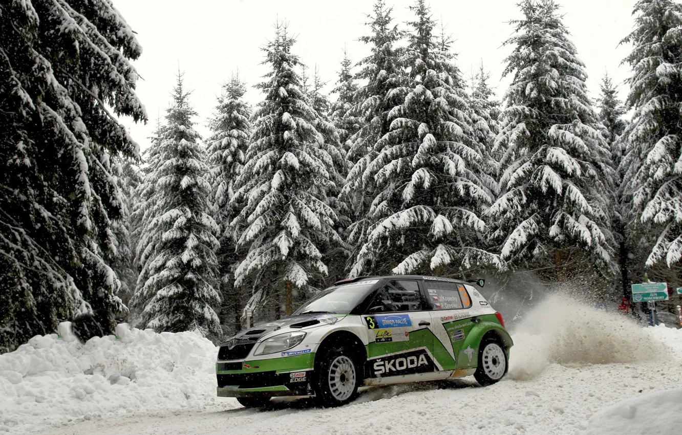 Фото обои Зима, Авто, Снег, Лес, Спорт, WRC, Rally, Skoda