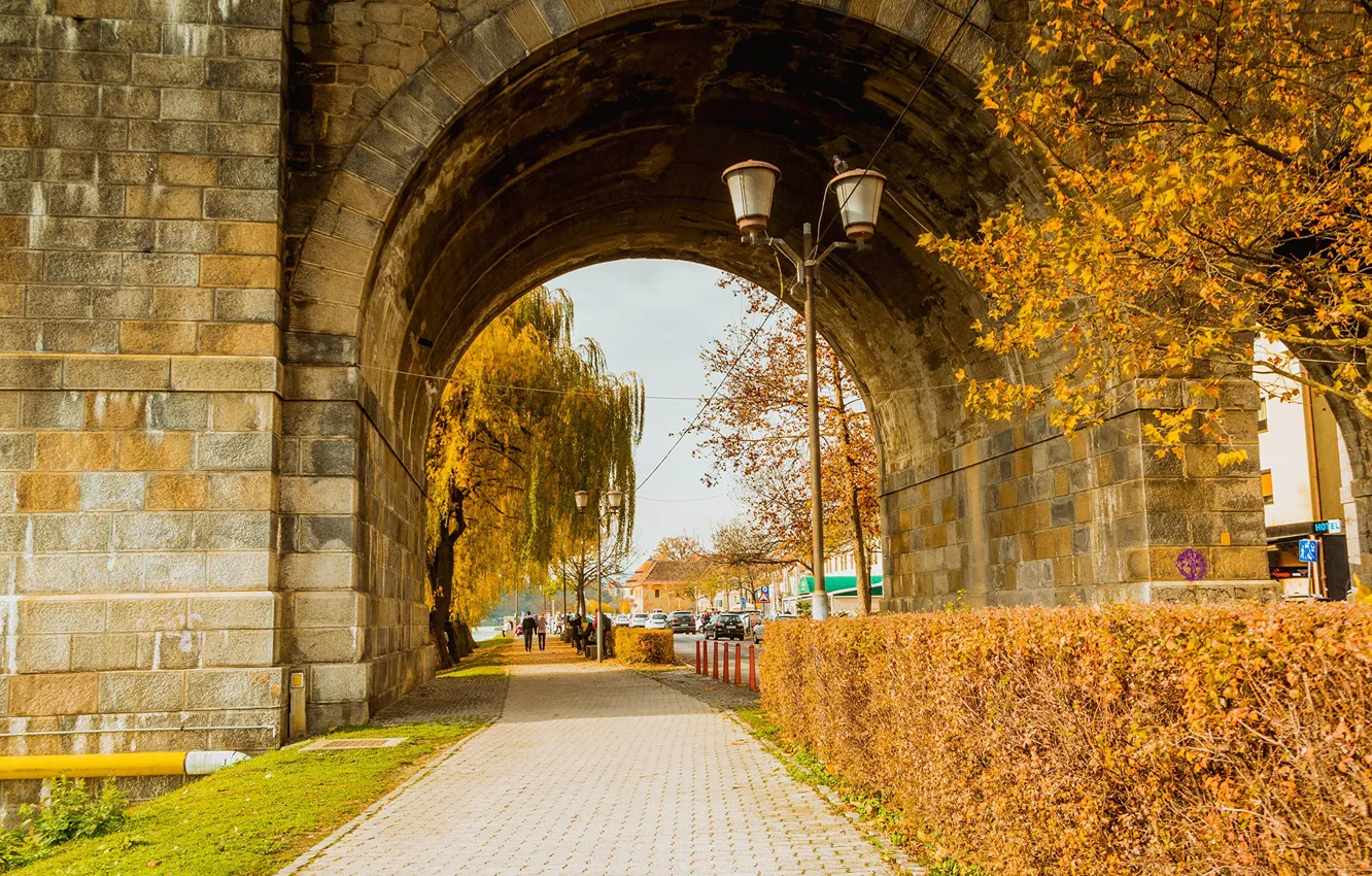 Фото обои осень, улица, фонарь, тротуар, Словения