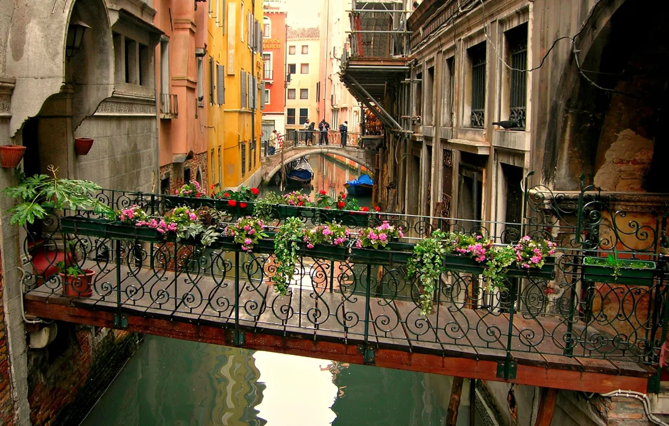 Фото обои цветы, Венеция, канал, переход, мостик