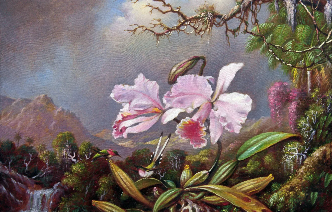 Фото обои картина, живопись, холст, Мартин Джонсон Хэд, Martin Johnson Heade, Орхидеи и колибри