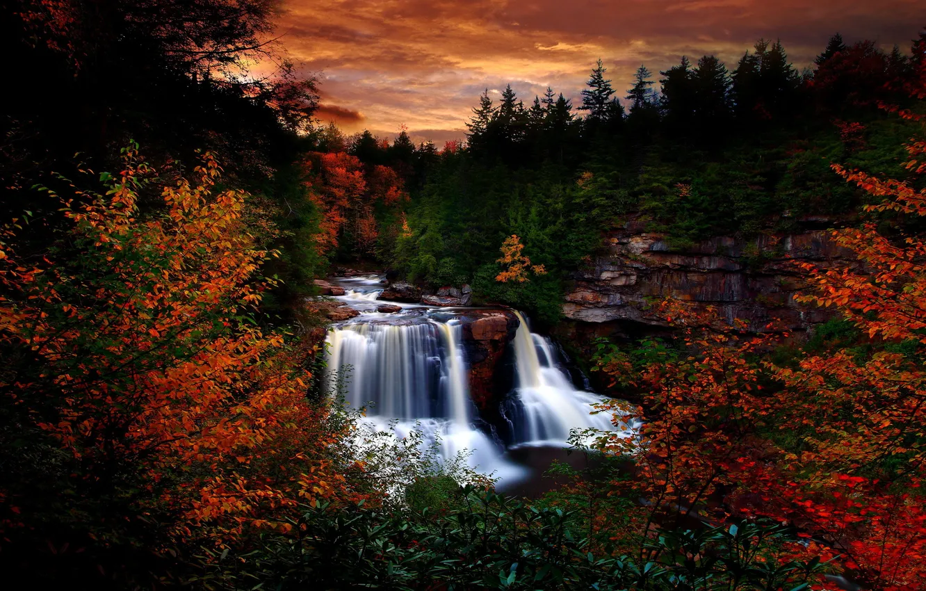 Фото обои деревья, закат, листва, водопад, Лес