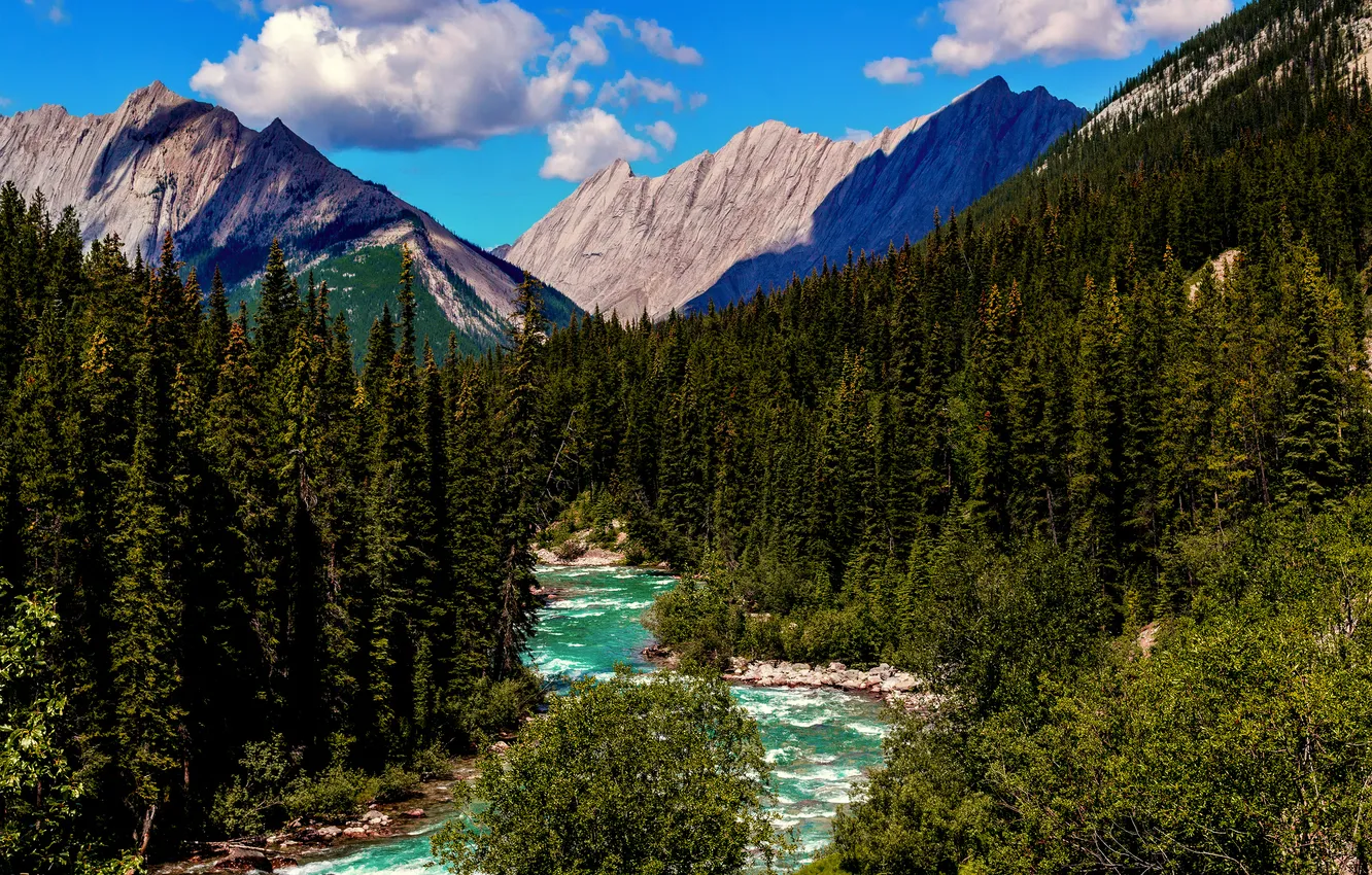 Фото обои лес, лето, небо, облака, горы, река, Канада, Альберта