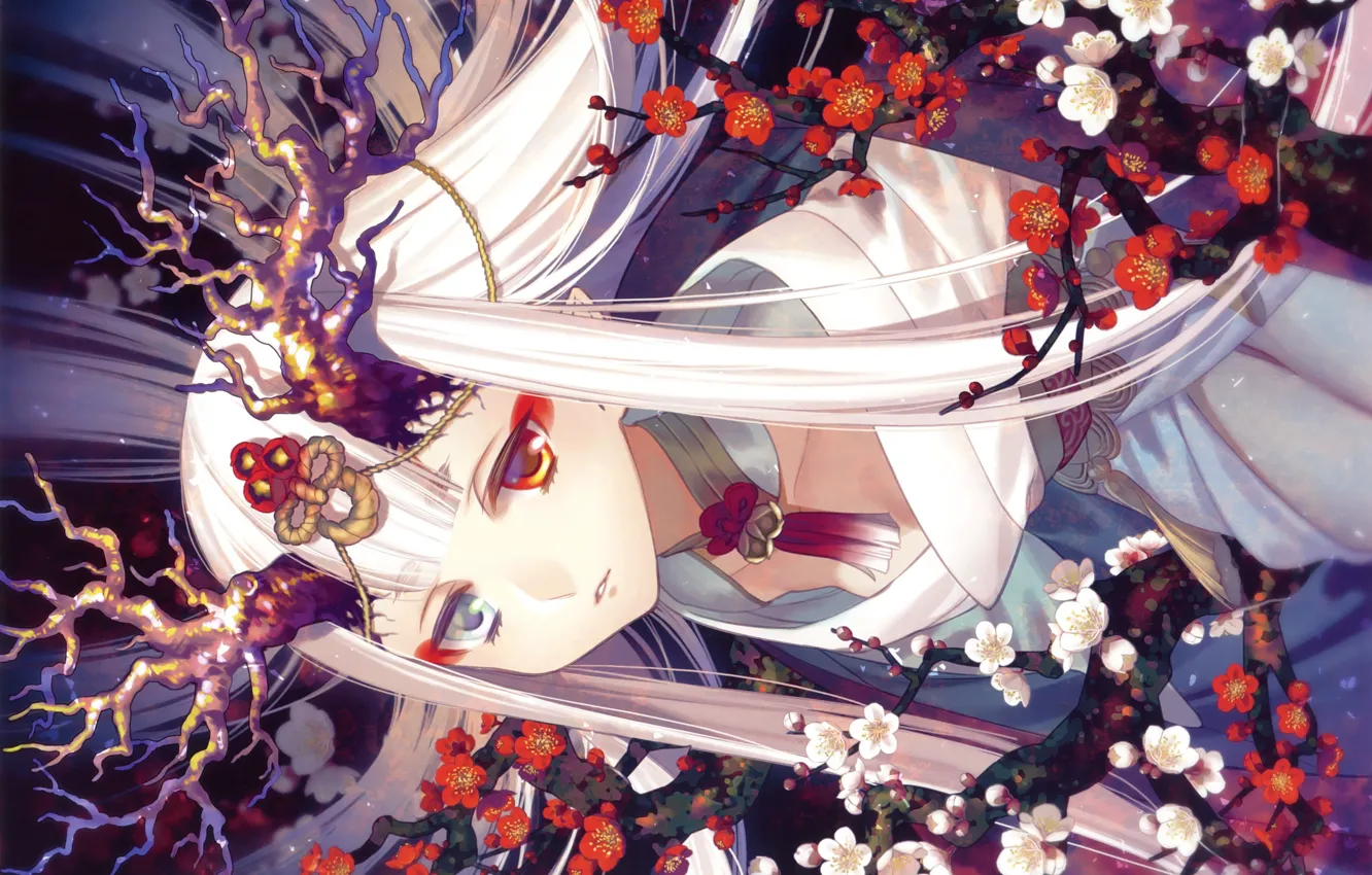 Фото обои японская одежда, цветущая сакура, разные глаза, ёкай, длинные белые волосы, by Yone Kazuki, рога на …