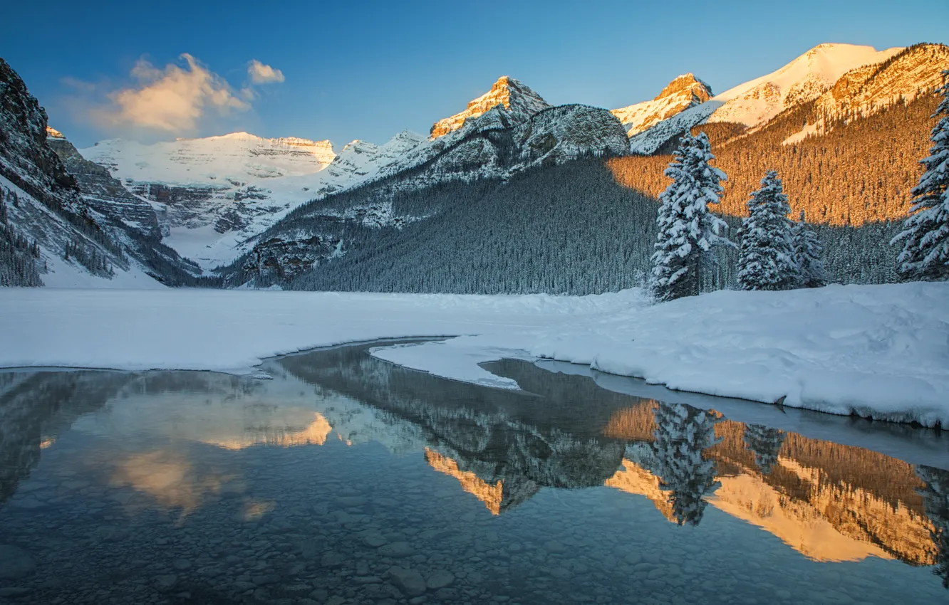 Фото обои зима, лес, снег, горы, озеро, отражение, ели, Канада
