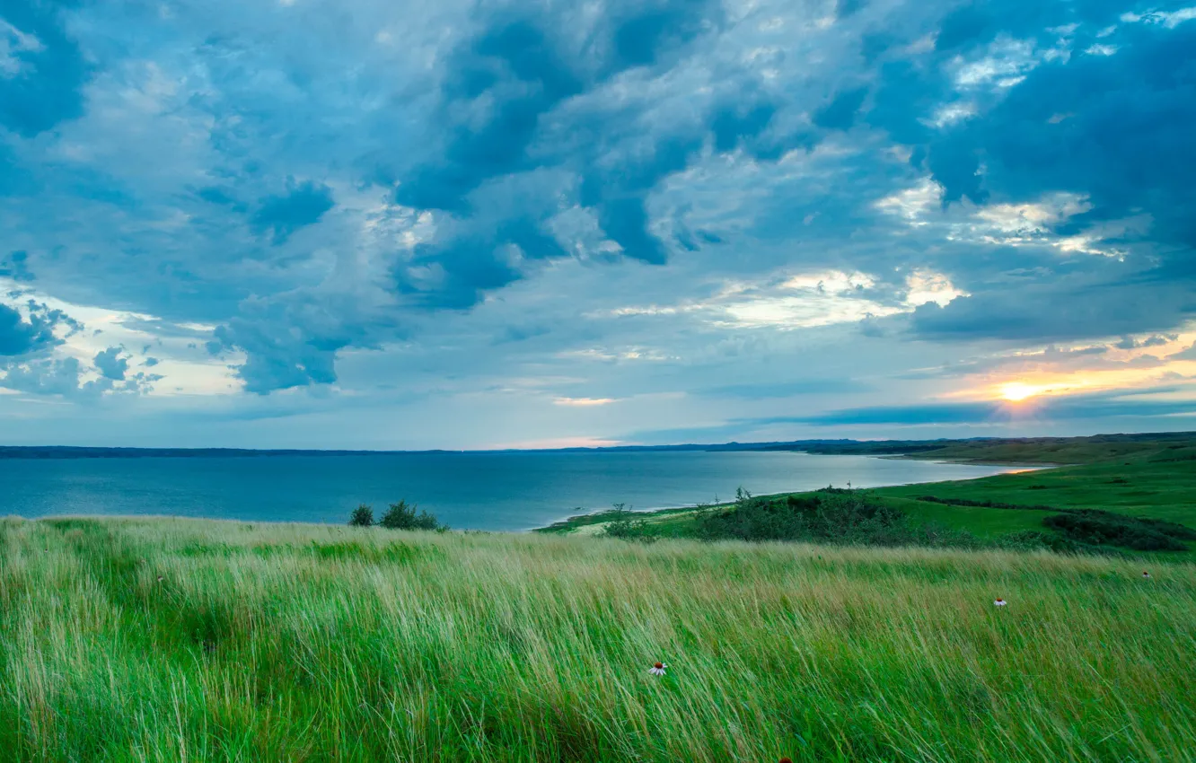 Фото обои поле, солнце, закат, озеро, Lake Sakakawea